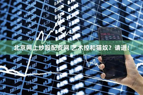 北京网上炒股配资网 艺术控和猫奴？请进！