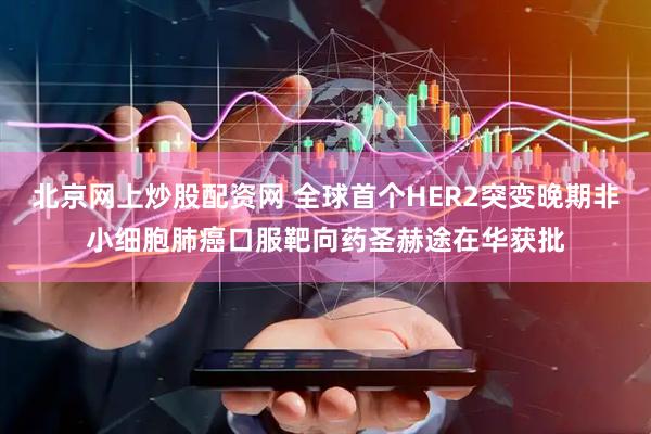 北京网上炒股配资网 全球首个HER2突变晚期非小细胞肺癌口服靶向药圣赫途在华获批