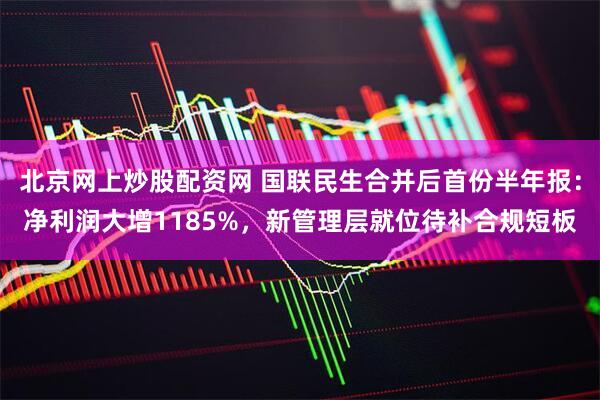 北京网上炒股配资网 国联民生合并后首份半年报：净利润大增1185%，新管理层就位待补合规短板