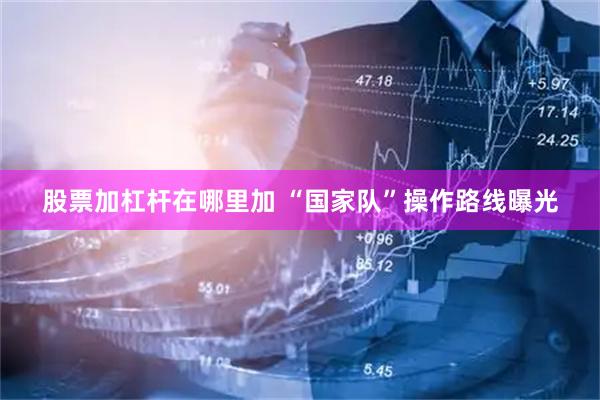 股票加杠杆在哪里加 “国家队”操作路线曝光