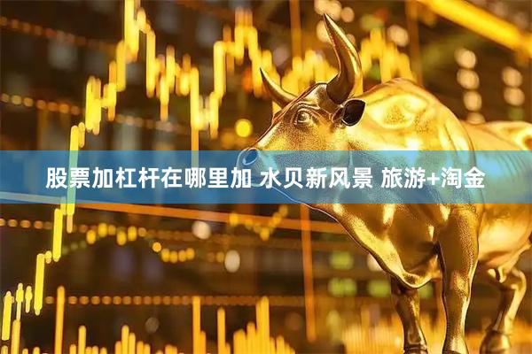 股票加杠杆在哪里加 水贝新风景 旅游+淘金